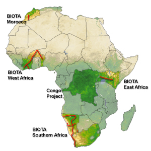 Regions Africa