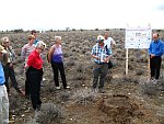 Joh Henschel talks about the ecological importance of termites.