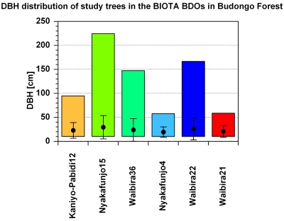 Mean tree height (H) and tree diameter at breast height (DBH) of